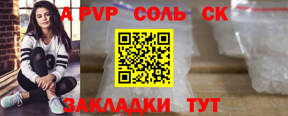Альфа ПВП СК Шали
