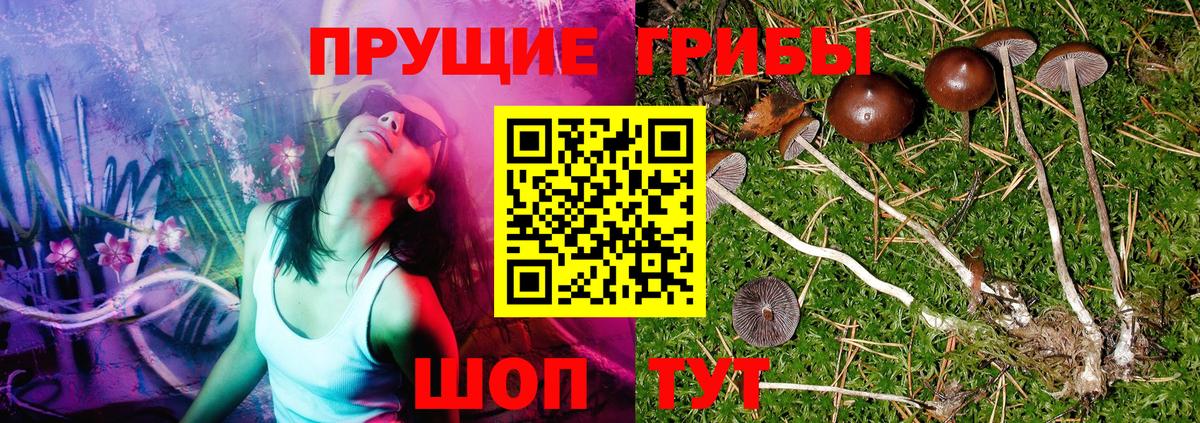 Галлюциногенные грибы Magic Shrooms Шали